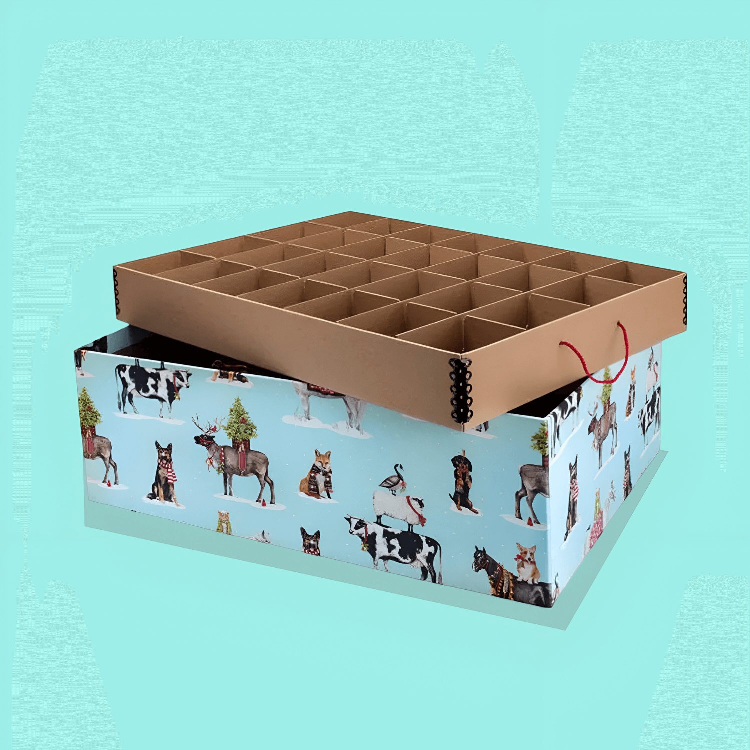 Ornament Packaging